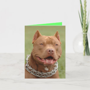Cartão de Nota em Branco de Cachorro Pitbull Filho