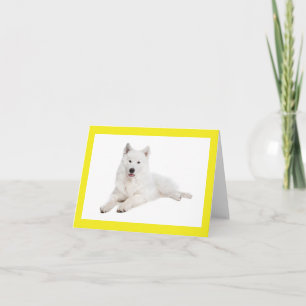 Cartão de Nota em Branco de Cachorro Samoyed Branc