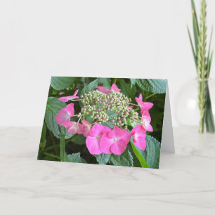 Cartão de Nota em Branco de Hortênsia em Flor