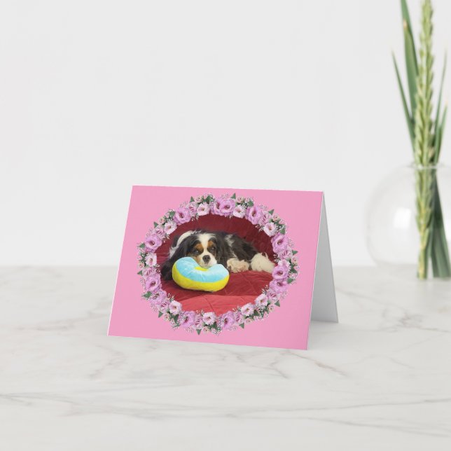 Cartão de Nota em Branco do Cavalier King Charles  (Frente)