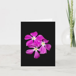 Cartão de Nota em Branco 'Flores de Periwinkle Apó