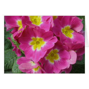 Cartão de Nota Flor Rosa Quente