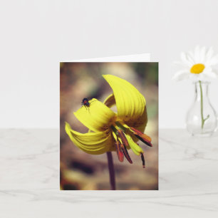 Cartão De Nota Floral De Trout Lily E Amigo
