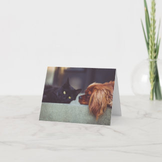 Cartão de Nota Fotográfica Personalizado