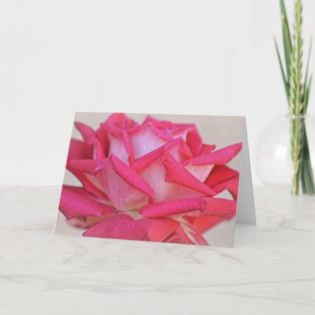 Cartão de Nota Fotográfica Rosa Rosa Rosa bonito (Frente)