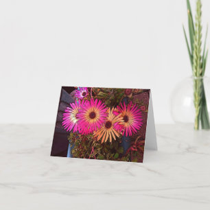 Cartão de Nota Gerbera Daisies