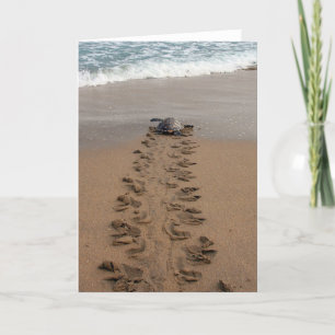 Cartão de nota Hawksbill Turtle Trek