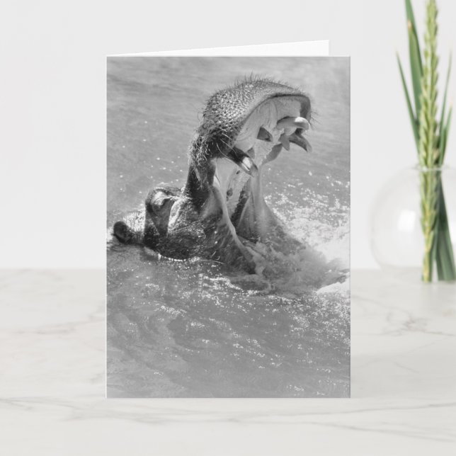 Cartão de Nota Hippo de Feed Me (Frente)