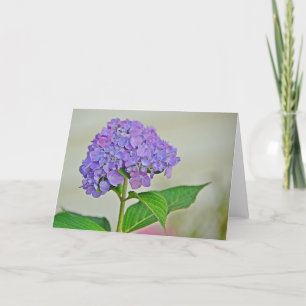 Cartão de Nota Hydrangea
