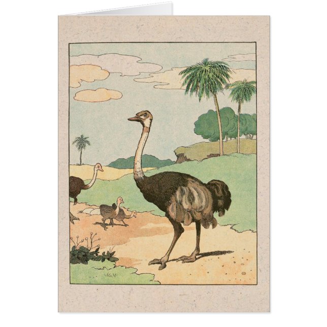 Cartão de Nota Ilustrado Ostrich Storykook (Frente)