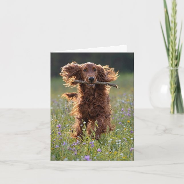 Cartão de Nota Irish Setter em Campo de Flores Sil (Frente)