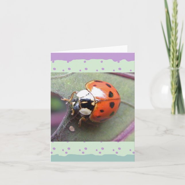 Cartão de Nota Ladybug (Frente)
