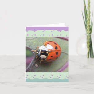 Cartão de Nota Ladybug