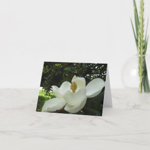 Cartão de Nota Magnolia Blossom