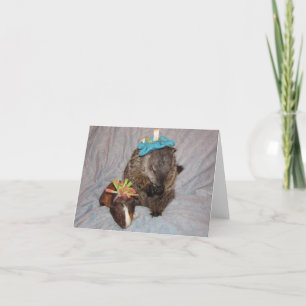 Cartão de Nota Magnum e Bessie