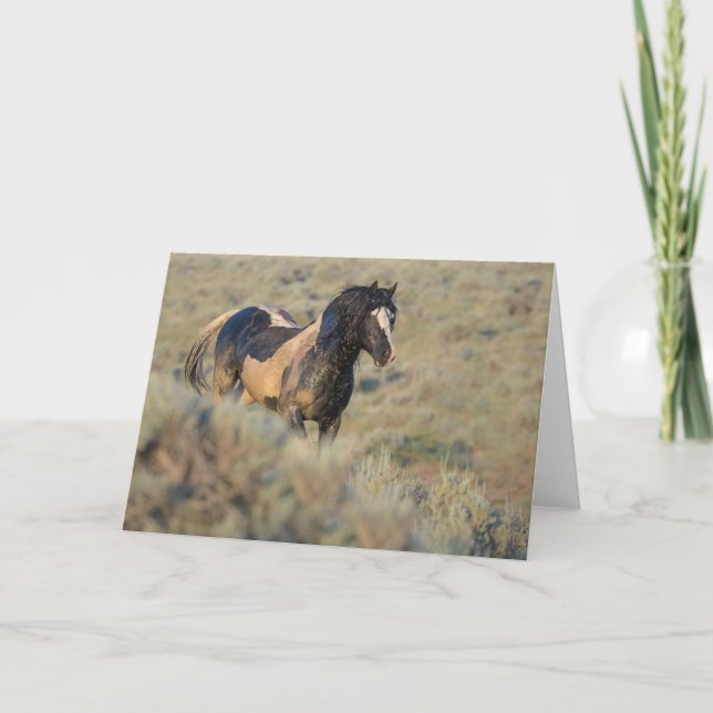 Cartão de Nota Mais Duro Que o Restante (Frente)