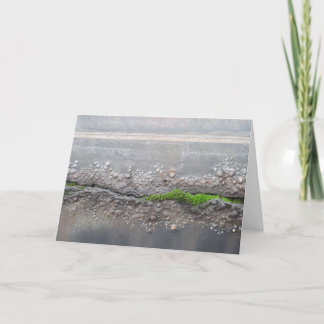 Cartão de Nota "Moss"