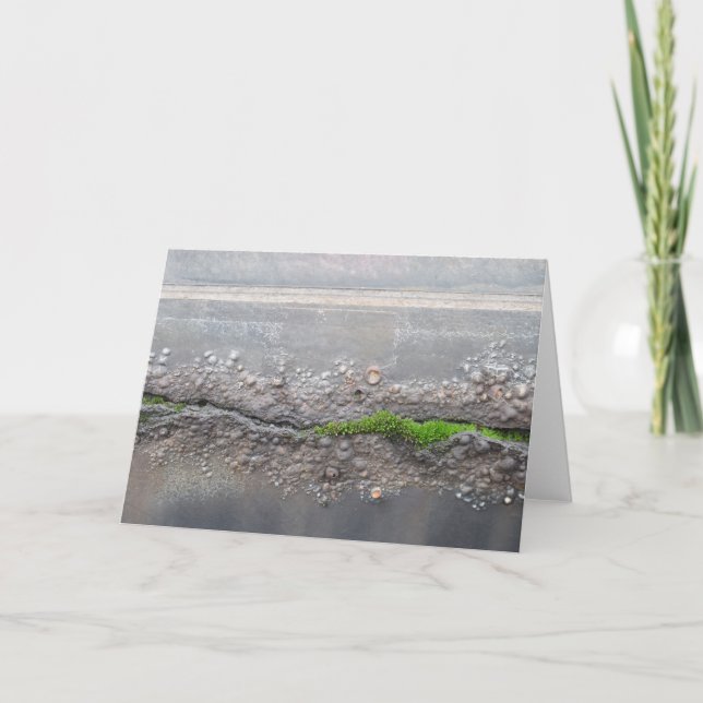 Cartão de Nota "Moss" (Frente)