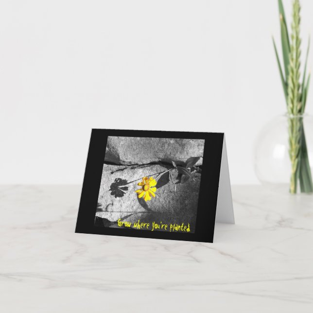 Cartão de Nota Motivacional "Cresça onde está plan (Frente)