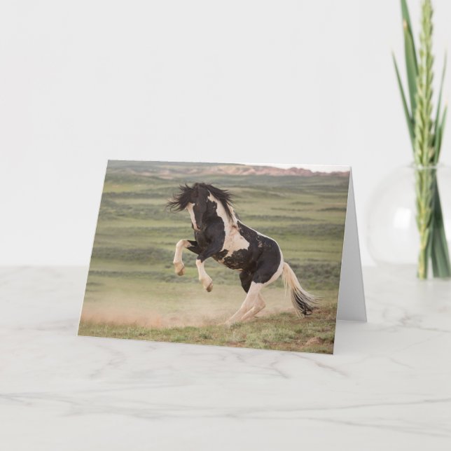 Cartão de Nota "Nunca Mais" (Frente)