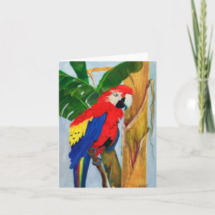 Cartão de Nota - Papagaio Tropical
