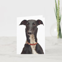 Cartão de Nota para Cachorro Cachorro Preto e Bran