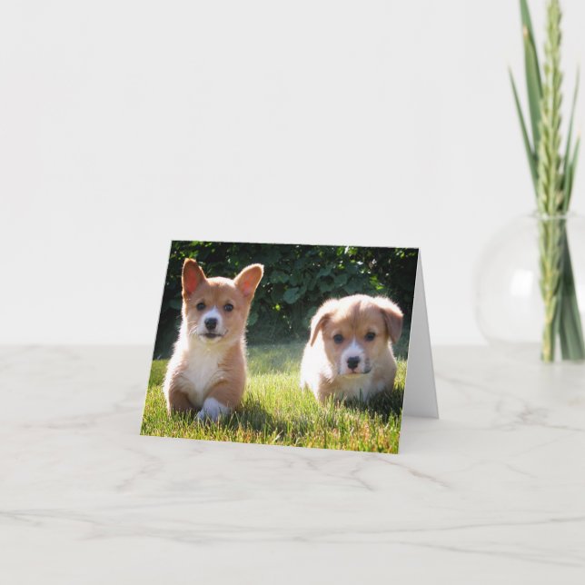 Cartão De Nota Para Cachorro De Corgi (Pembroke We (Frente)