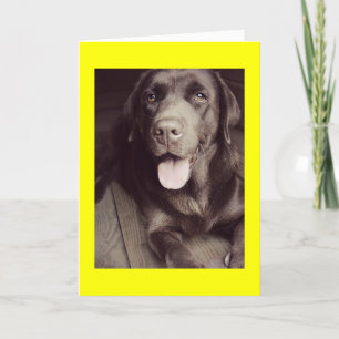 Cartão De Nota Para Cachorros De Labrador Preto E