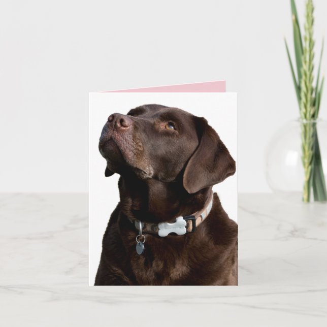 Cartão de Nota para Cão de Chocolate Labrador Retr (Frente)