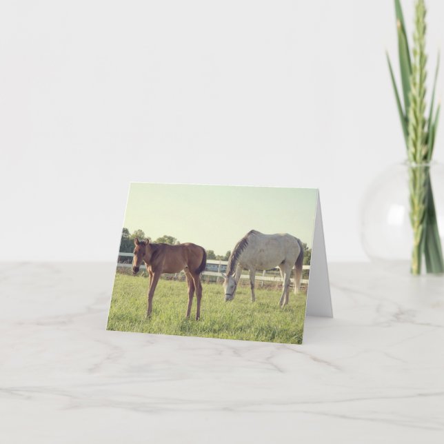 Cartão de Nota para Cavalos Mare & Foal (Frente)