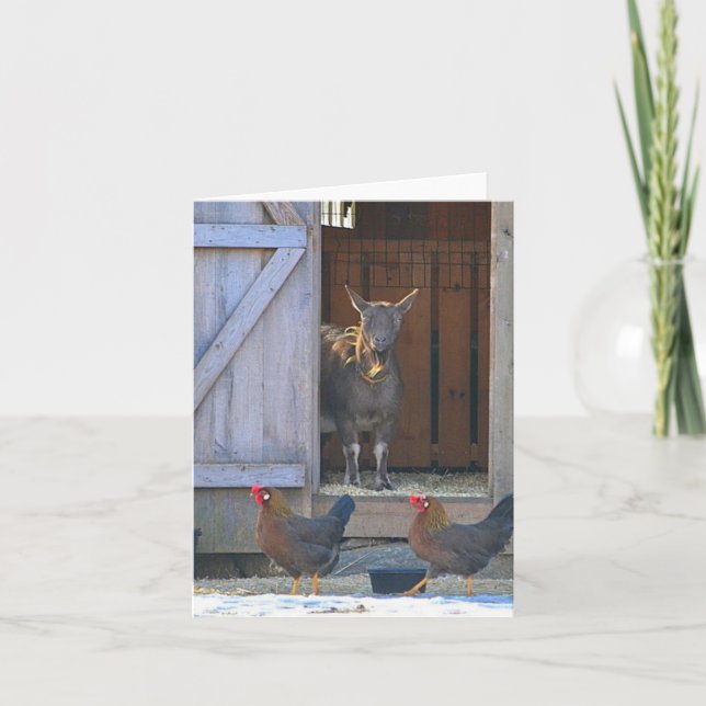 Cartão de Nota para Galinhas e Caprinos (Frente)