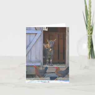 Cartão de Nota para Galinhas e Caprinos