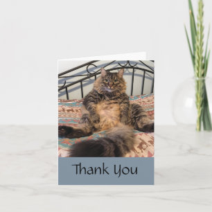 Cartão de Nota para Gato Grande e Huggable Obrigad