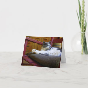 Cartão de Nota para Gato Sonolento