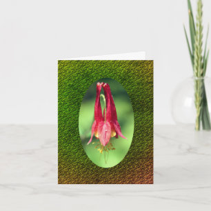 Cartão de Nota Personalizável de Flor Columbina