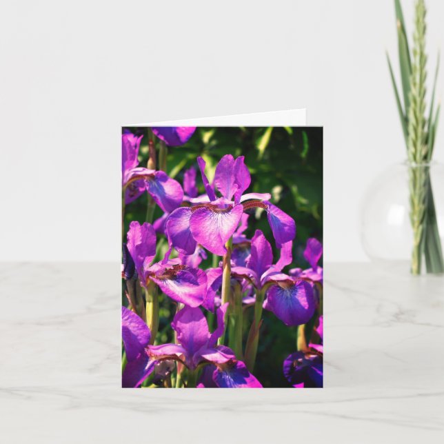 Cartão de Nota Personalizável de Flores Iris com M (Frente)