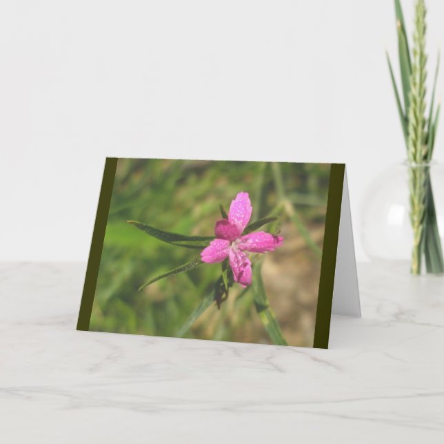 Cartão de Nota Rosa Deptford (Frente)