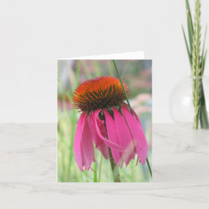 Cartão de nota roxo de Coneflower