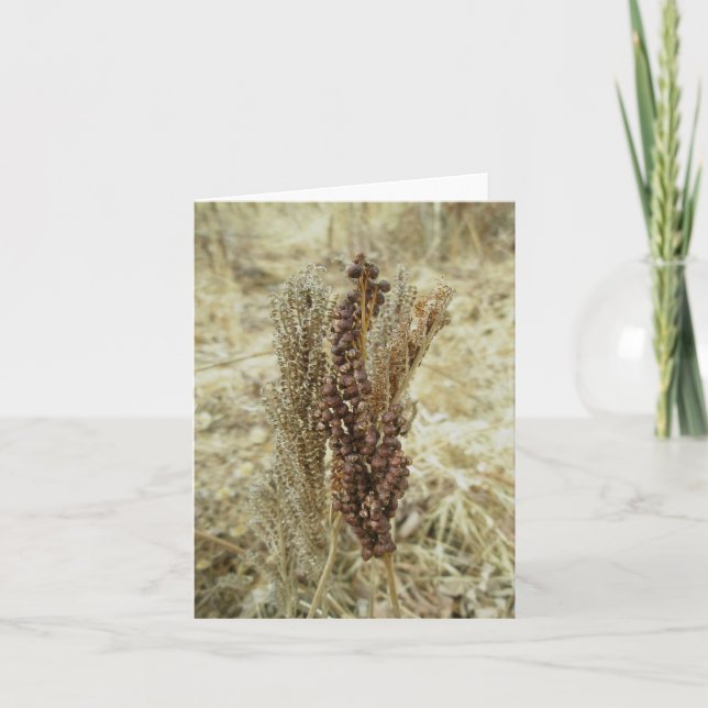 Cartão de Nota Seco Fern (Frente)