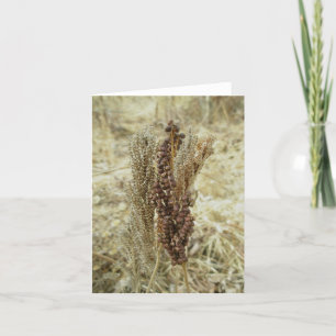 Cartão de Nota Seco Fern