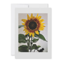 Cartão de nota simples Sunflower para manuscrito