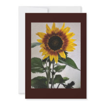 Cartão de nota simples Sunflower para manuscrito