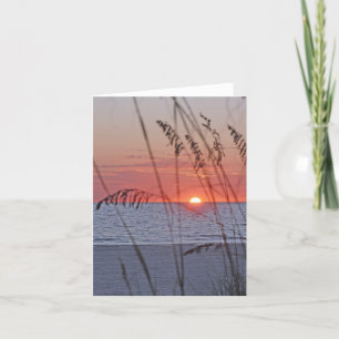 Cartão de Nota Solar da Ilha do Tesouro