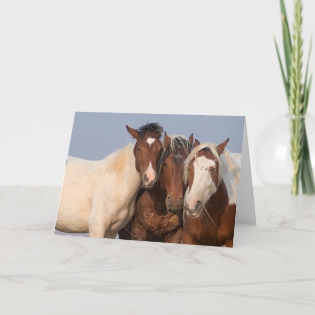 Cartão de Nota "Somos da Família" (Frente)