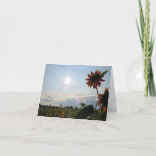 Cartão de Nota Sunshine & Sunflower