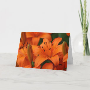 Cartão de Nota "Tangerine Beauty"