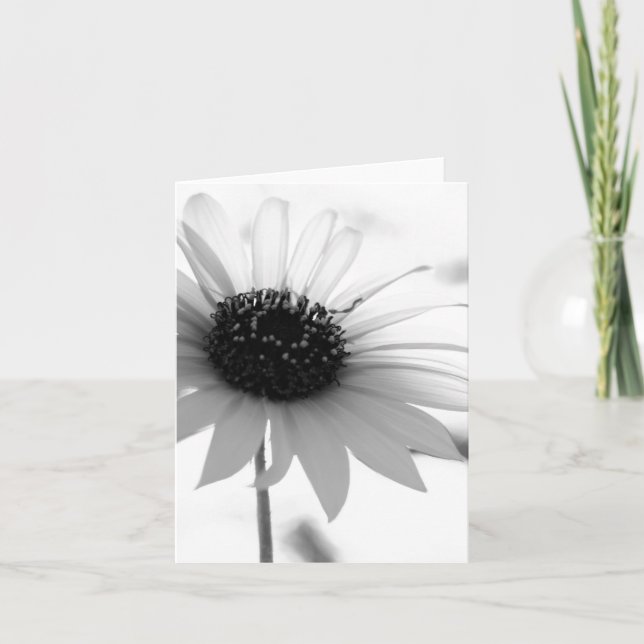 Cartão de nota transparente da flor de BW (Frente)
