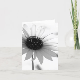 Cartão de nota transparente da flor de BW
