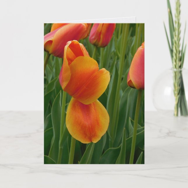 Cartão de Nota Tulipa Dourada Única (Frente)