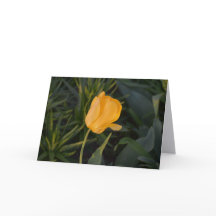Cartão de Nota Tulipa Dourada Única